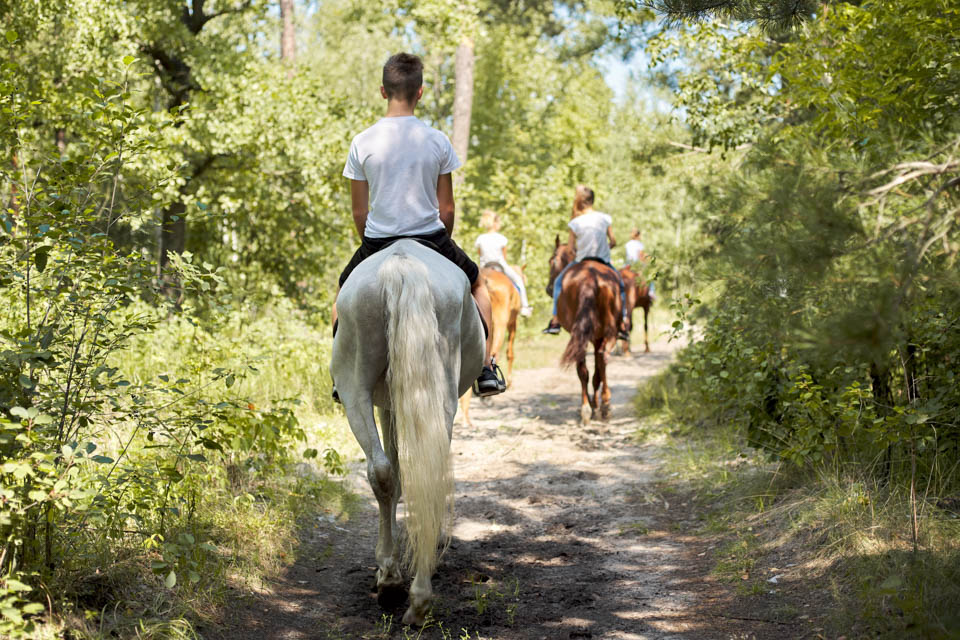 7 Horseback riding in Mammoth Cave Naitonal Park is a top thing to do