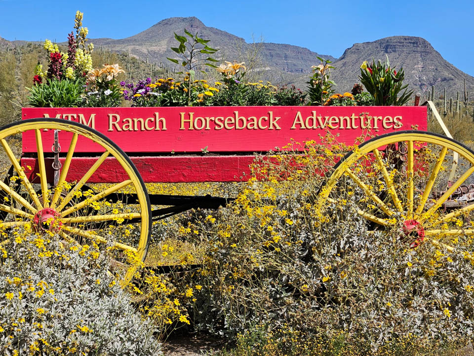 8 Take a horseback ride near Carefree and Cave Creek Arizona top things to do RV trip