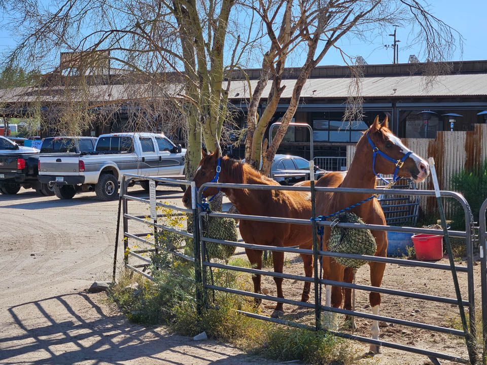 3 Ride your horse to Harolds in Carefree AZ top things to do RV trip