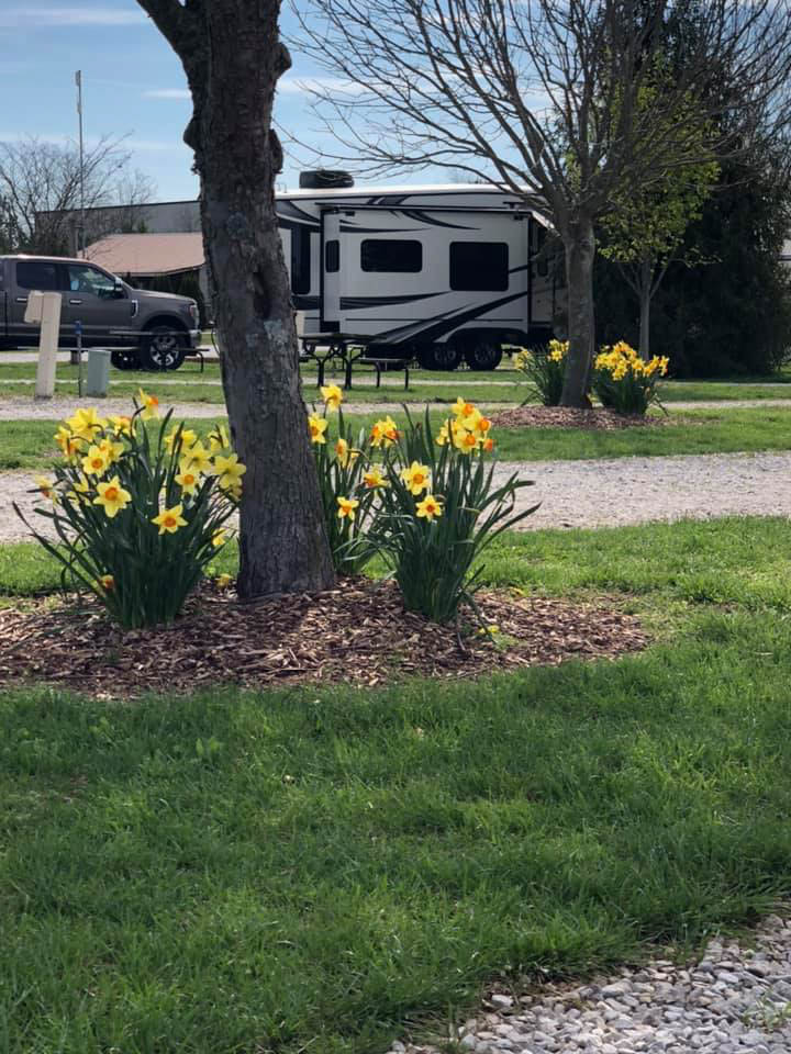 5 Great RV Parks near Cave City Kentucky