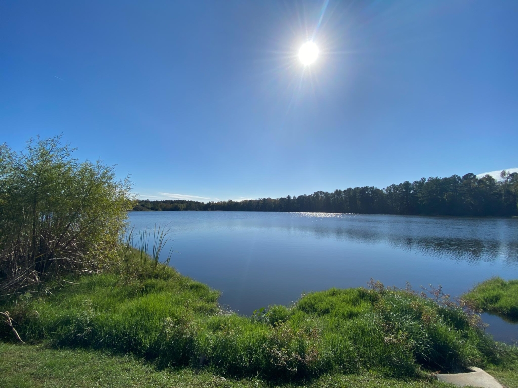 Creekfire RV Resort Savannah GA RV Park RV Campground