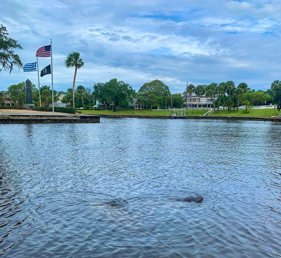 5 Visit the Tarpon Bayou in Tarpon Springs Florida top things to do RV trip