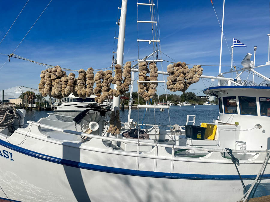 6 Take a boat tour in Tarpon Springs Florida top things to do RV trip