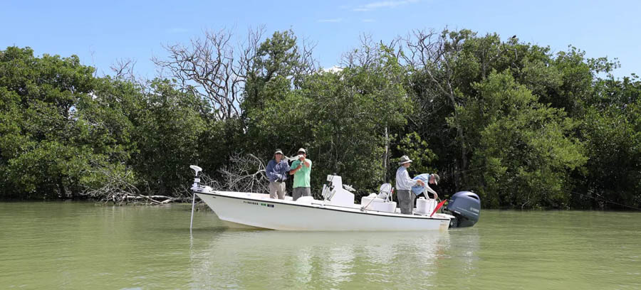 Great fishing in FL Bay in Everglades National Park best place for fishing top things to do