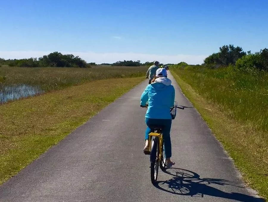 Take a Bike ride on Shark Valley Loop in Everglades National Park top things to do
