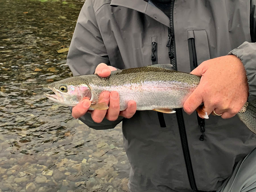 Top things to do in Brevard is Fly Fishing